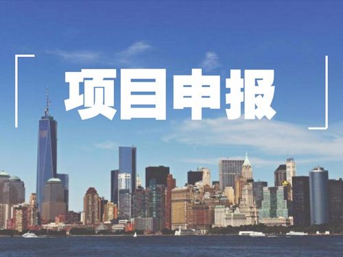 分析南平政府项目申报有哪些项目