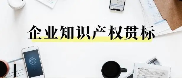 南平知识产权贯标的过程分享