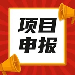 教你如何进行南平政府项目申报